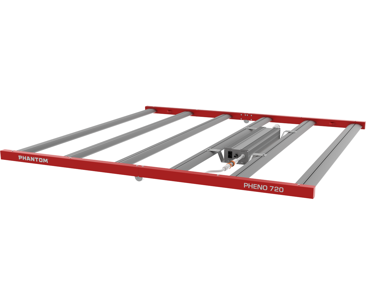 Phantom Pheno - Top Right